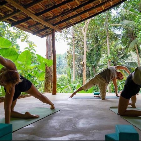 Into The Blue - Yoga Included & Walk To 3 Beaches Tangalle Ngoại thất bức ảnh
