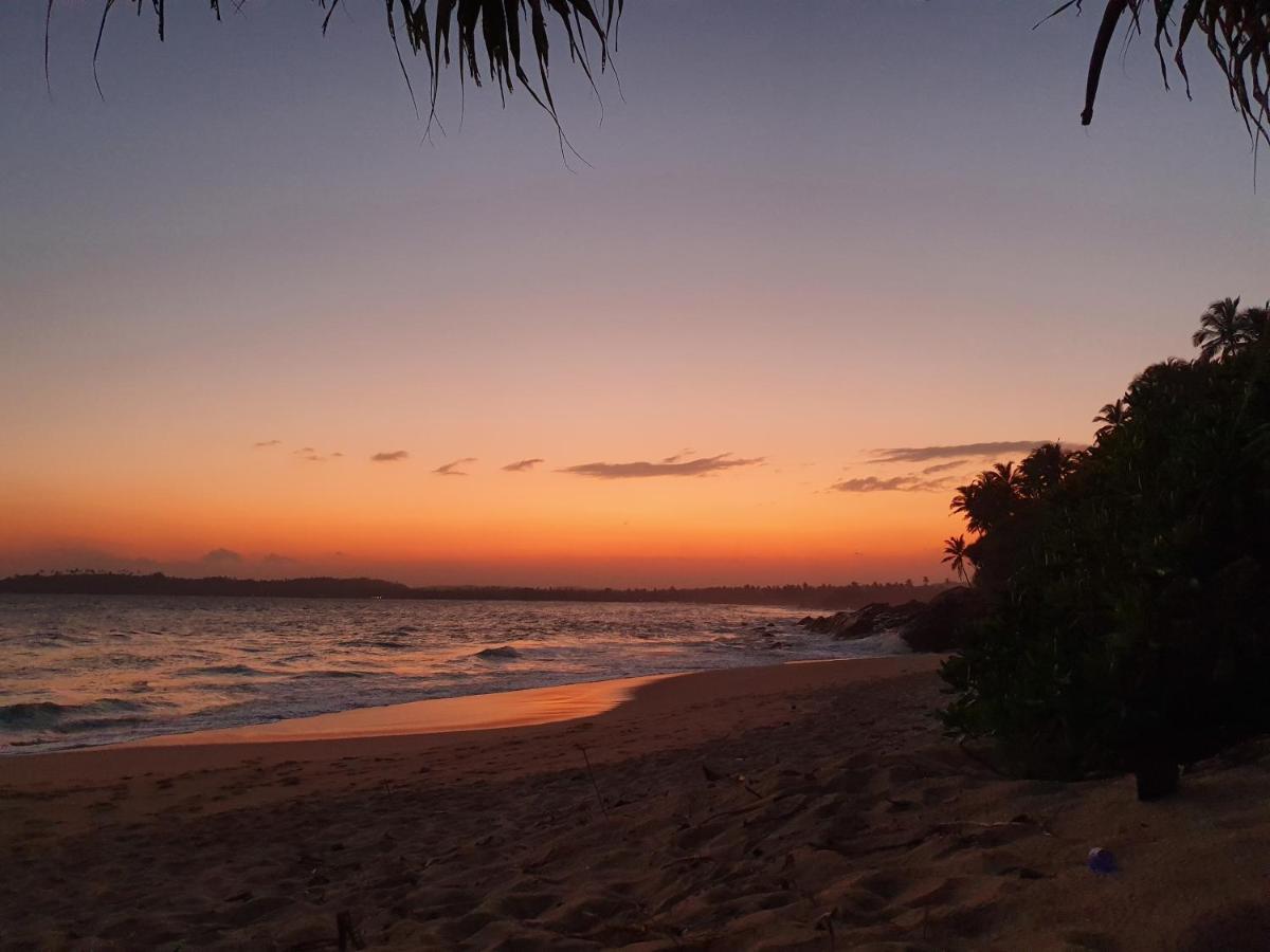 Into The Blue - Yoga Included & Walk To 3 Beaches Tangalle Ngoại thất bức ảnh