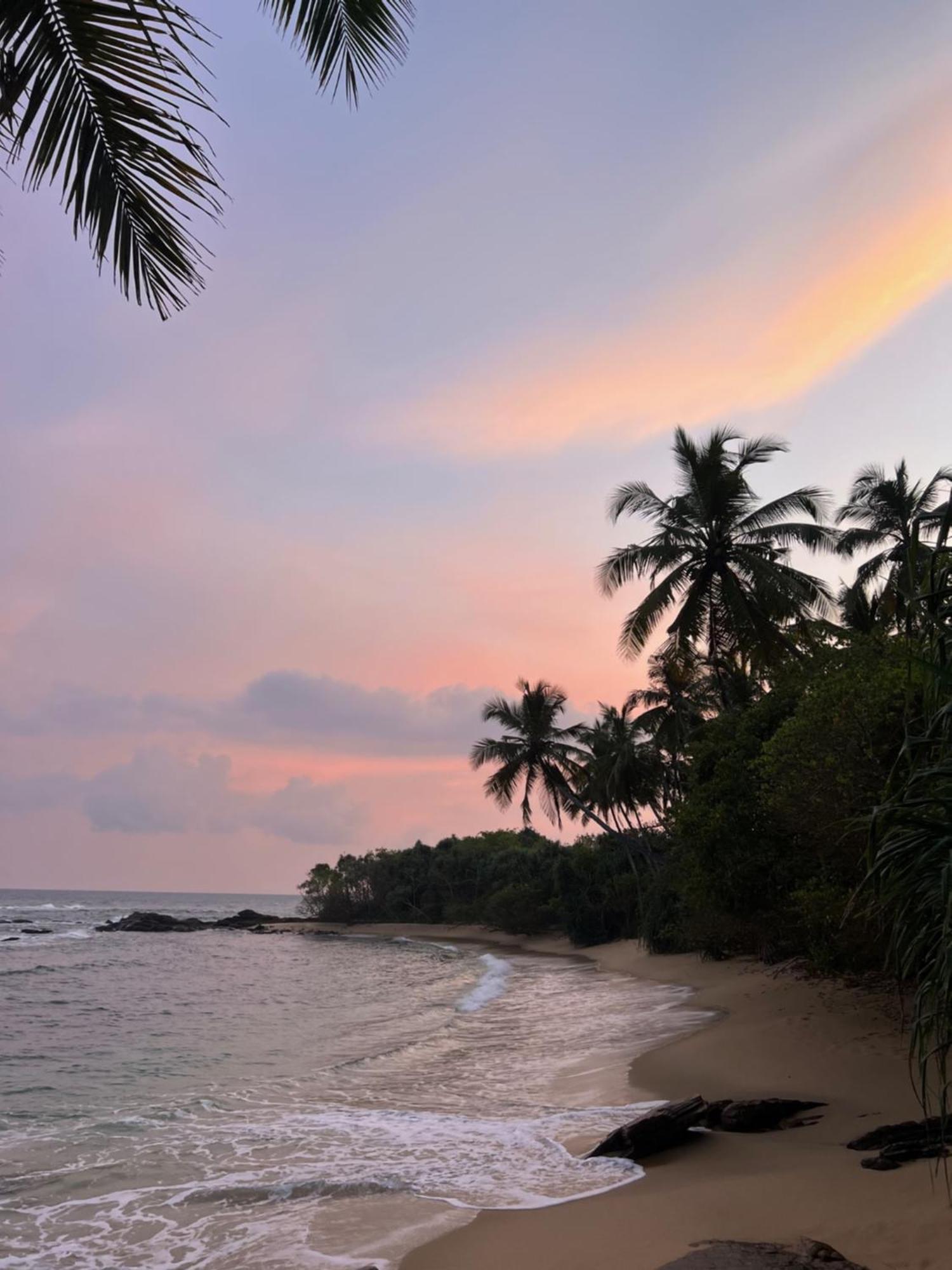 Into The Blue - Yoga Included & Walk To 3 Beaches Tangalle Ngoại thất bức ảnh