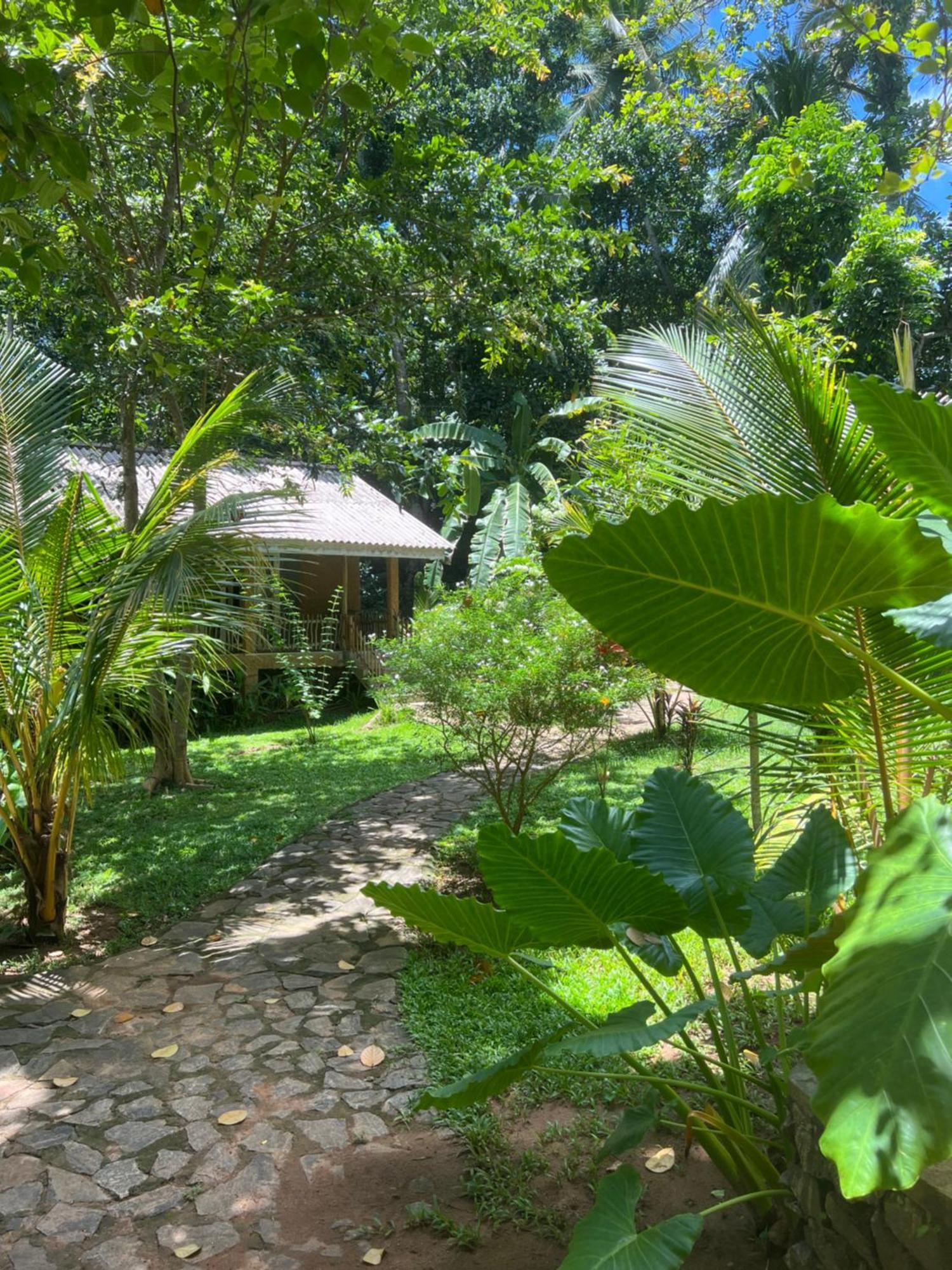 Into The Blue - Yoga Included & Walk To 3 Beaches Tangalle Ngoại thất bức ảnh