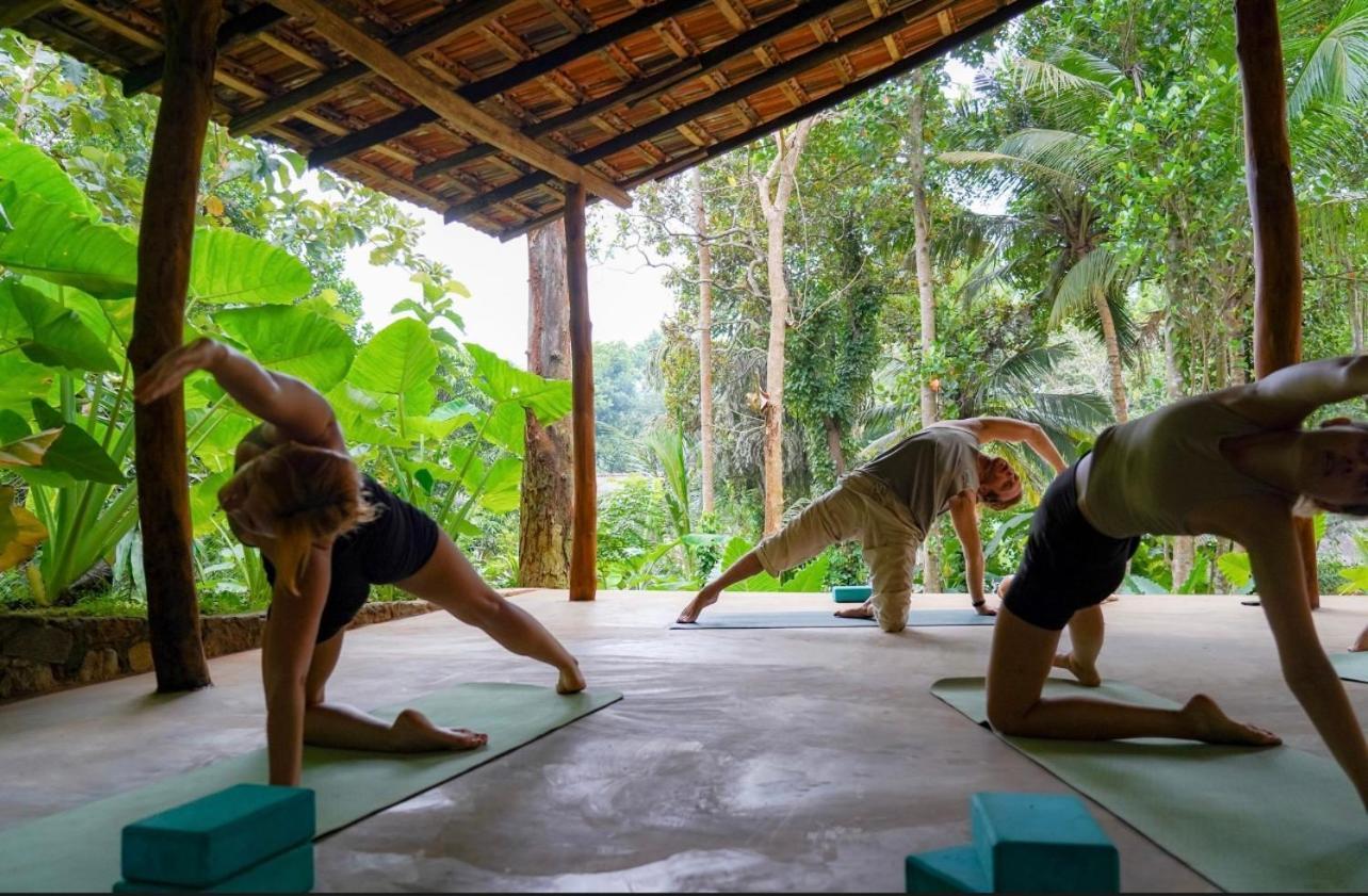 Into The Blue - Yoga Included & Walk To 3 Beaches Tangalle Ngoại thất bức ảnh