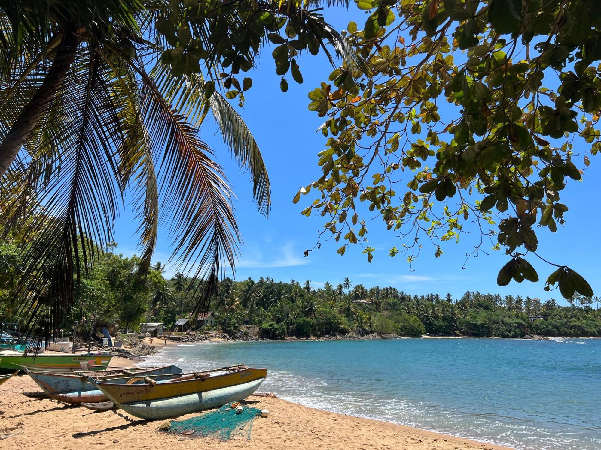 Into The Blue - Yoga Included & Walk To 3 Beaches Tangalle Ngoại thất bức ảnh